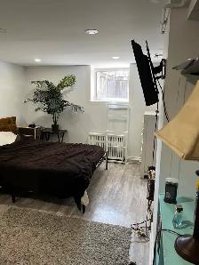 Annex 2 Bed Basement apartment steps from Bathurst sbwy - Photo 8
