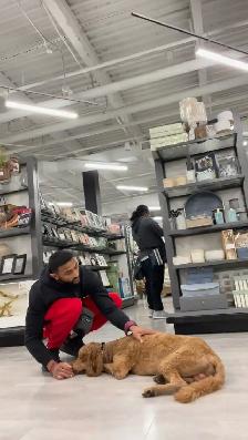 Same-Week Dog Daycare & Boarding Spots - North York - Photo 2