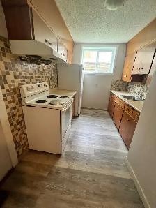 Basement unit available - Photo 10