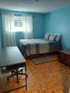 2 Rooms for Rent Near Mohawk College $850