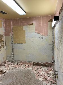 Demolition - Photo 4