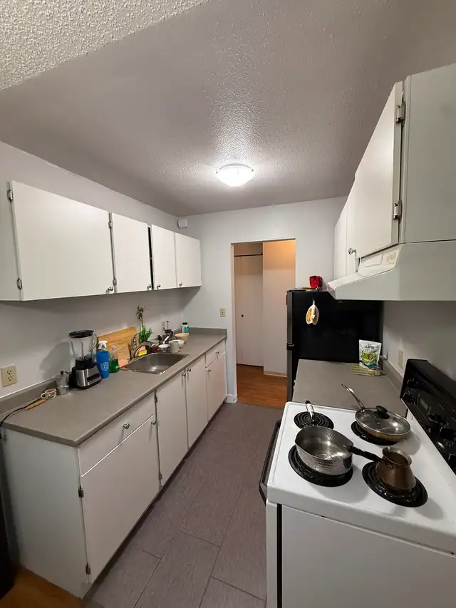 Private suite available for rent
