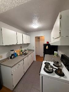 Private suite available for rent