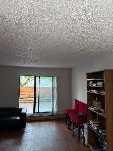 Private suite available for rent - Photo 9
