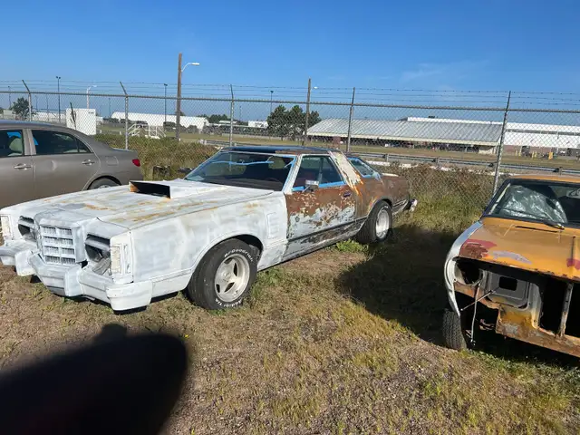 1979 Thunder bird