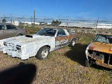 1979 Thunder bird