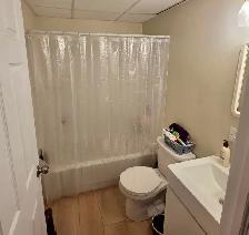 1 Bedroom   Den | 1 Bathroom - Photo 5