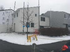 Siding crew looking for work