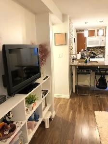 RENTAL- 1 Bed-1 Bath BSMT- Border Etobicoke & Mississauga $1,500 - Photo 7
