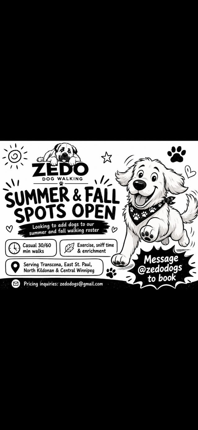 Zedo Dogs – Dog Walking in Winnipeg | Summer & Fall Spots Open