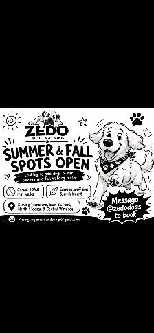 Zedo Dogs – Dog Walking in Winnipeg | Summer & Fall Spots Open
