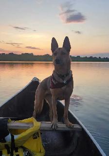 Unlimited monthly VIP Dog Care