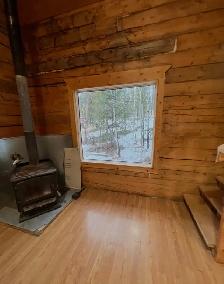 Cabin for rent - Photo 8