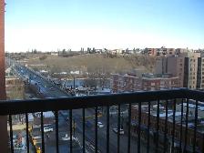 DOWNTOWN BACHELOR CONDO