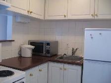 DOWNTOWN BACHELOR CONDO - Photo 2