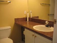 DOWNTOWN BACHELOR CONDO - Photo 3