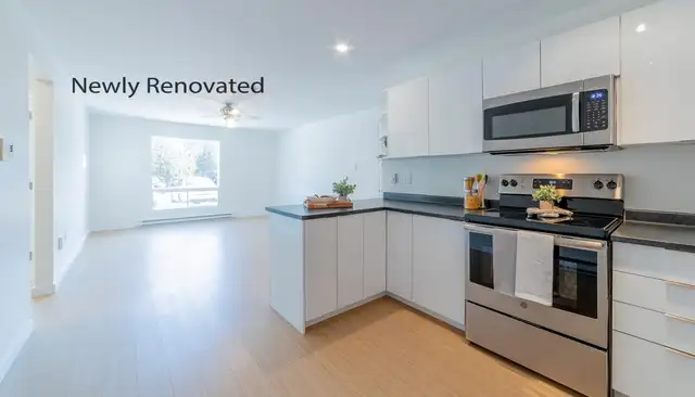 CEDAR GLEN// BRIGHT 2BD -DOG FRIENDLY- SEPTEMBER 15TH