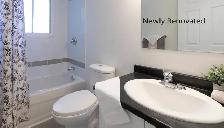 CEDAR GLEN// BRIGHT 2BD -DOG FRIENDLY- SEPTEMBER 15TH - Photo 3