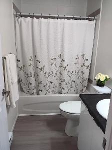 CEDAR GLEN// BRIGHT 2BD -DOG FRIENDLY- SEPTEMBER 15TH - Photo 4