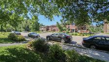 CEDAR GLEN// BRIGHT 2BD -DOG FRIENDLY- SEPTEMBER 15TH - Photo 5