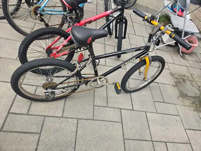 Kids Bike 20' Youth