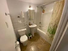 Furnished and big 3 1/2 apartment (downtown area) - app meublé - Photo 8
