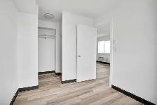 One & Two Bedroom Suites - Pet Friendly - Photo 5