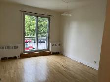Apartment Rental - Photo 3