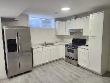 Brand-New 1-Bed Basement Suite in Albion (Maple Ridge) - Photo 3