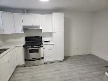 Brand-New 1-Bed Basement Suite in Albion (Maple Ridge) - Photo 4