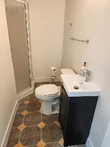 Brand-New 1-Bed Basement Suite in Albion (Maple Ridge) - Photo 5