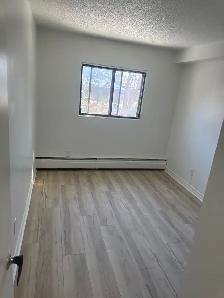 Painter and taper - Photo 3