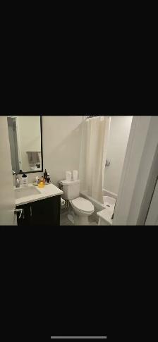 Furnished One Bedroom Apartment For Short-term rent