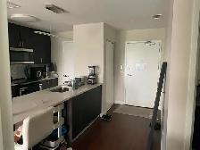 Furnished One Bedroom Apartment For Short-term rent - Photo 9