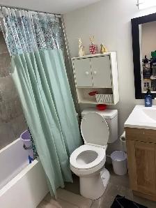 Private room for rent for single individual boy or girl. - Photo 10