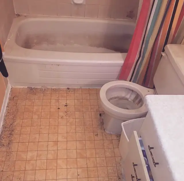 One Call Cleans It All ~ Steam/ Deep Cleaning