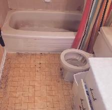 One Call Cleans It All ~ Steam/ Deep Cleaning