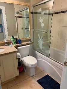 1 Bedroom Basement Roommate Needed - Photo 5