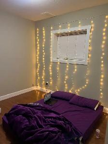 1 Bedroom Basement Roommate Needed - Photo 6