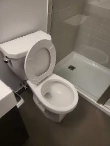 Flat rate cleaning - Photo 8