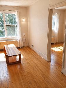 1 BDR – GREAT LOCATION! NEWLY Renovated! - Photo 9