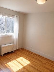 1 BDR – GREAT LOCATION! NEWLY Renovated! - Photo 10