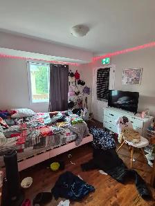 3 Bedroom Apartment - Photo 9