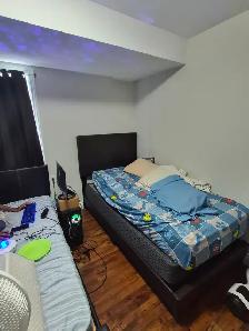 3 Bedroom Apartment - Photo 11