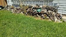 Check it out - Photo 9