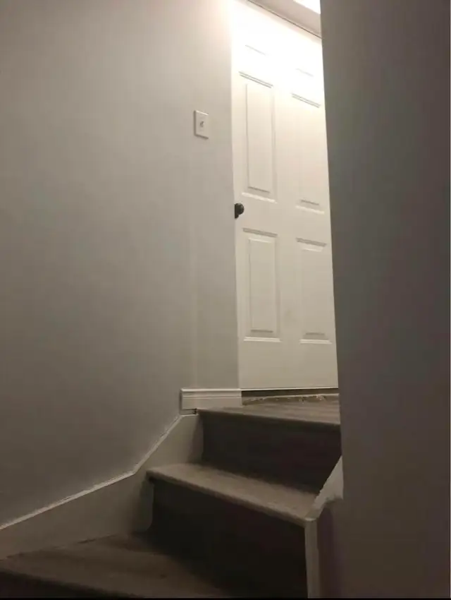 Basement Mississauga for Rent