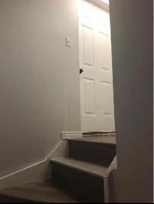 Basement Mississauga for Rent