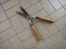 ciseaux pour jardin
