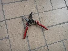 ciseaux pour jardin - Photo 2