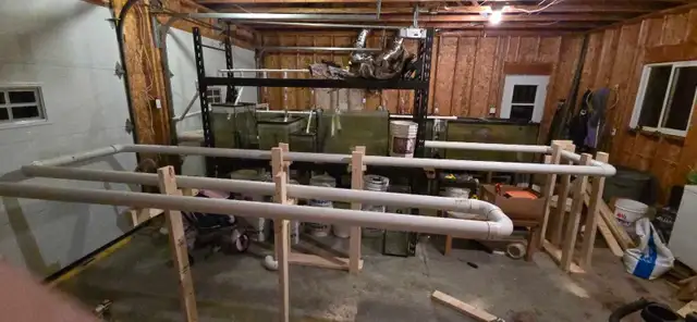 Complete Talapia growing system for sale